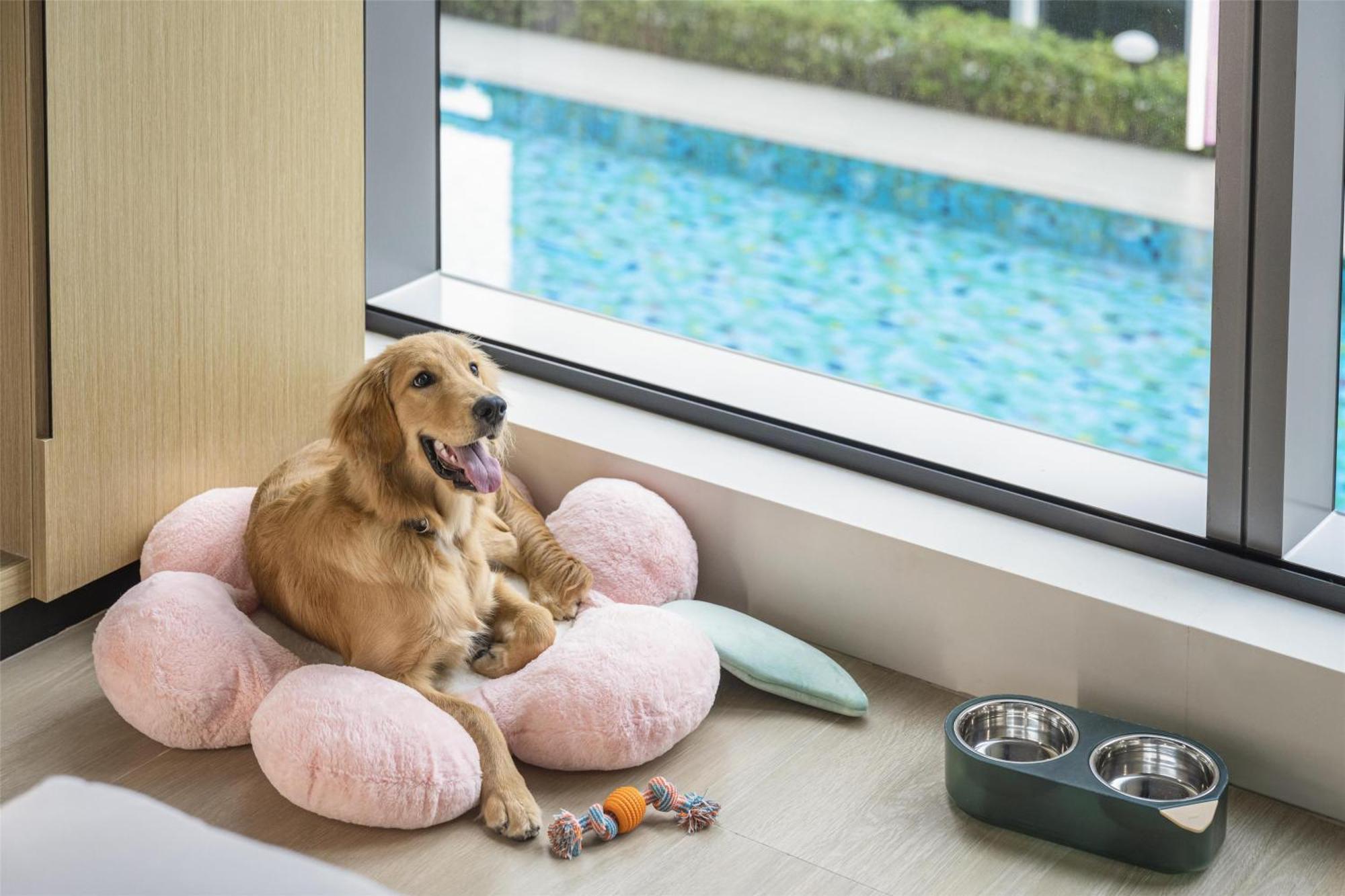 Hyatt Place New Taipei City Xinzhuang Dış mekan fotoğraf